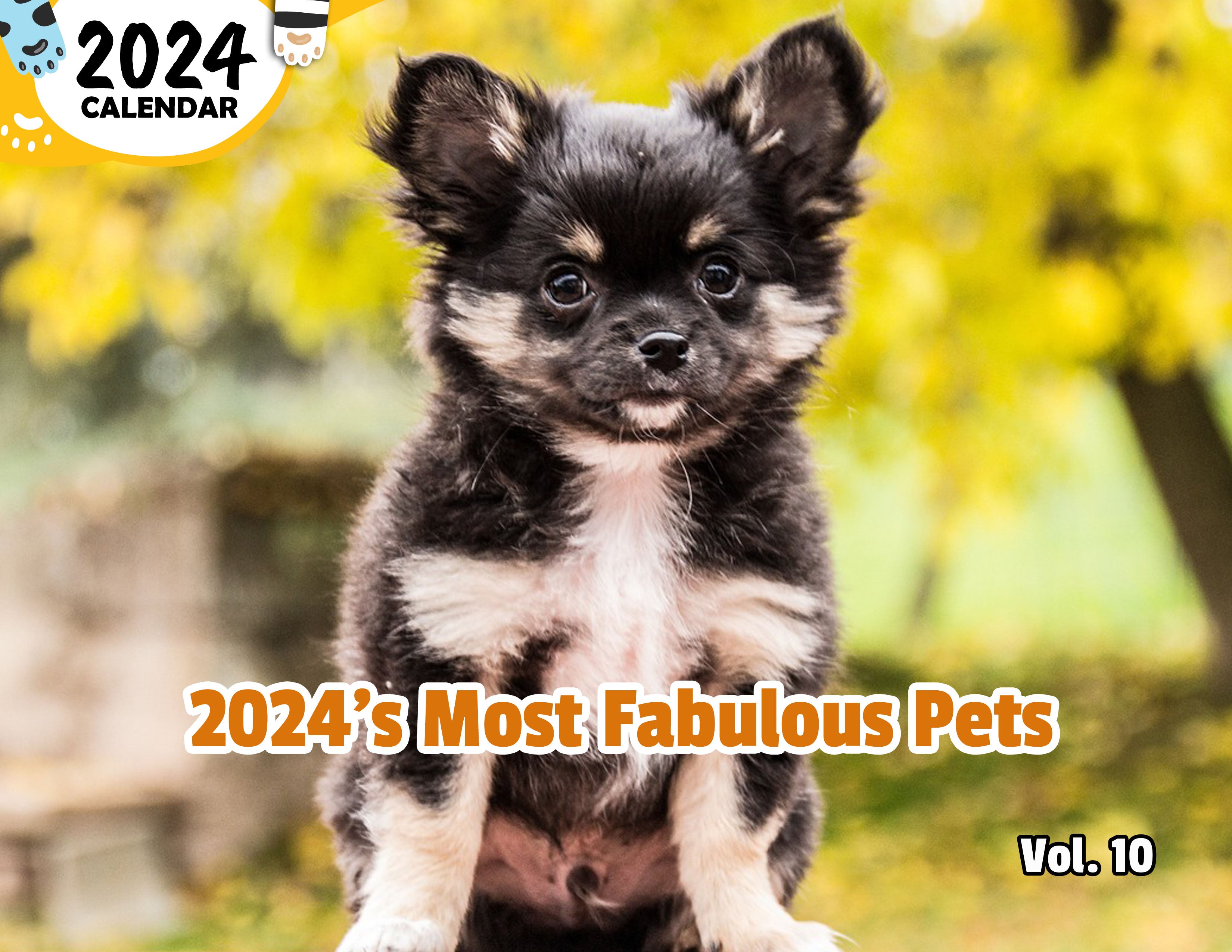 2024's Most Fabulous Pets Volume Ten: 2024 Wall Calendar (Published)