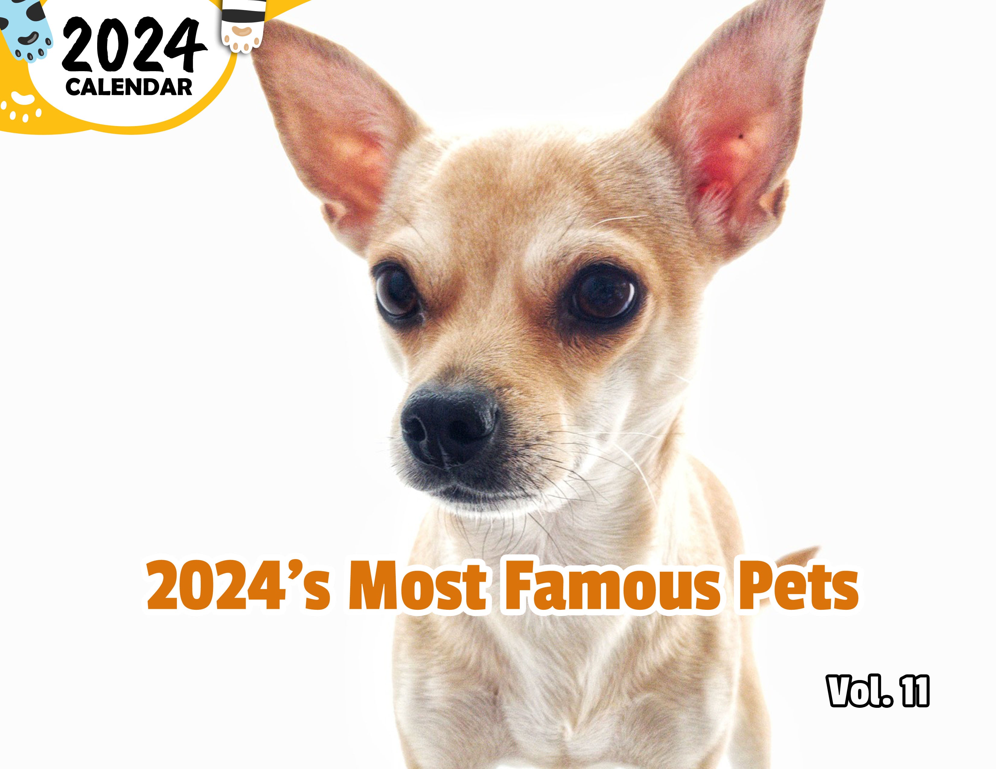 2024's Most Famous Pets Volume Eleven: 2024 Wall Calendar (Published)