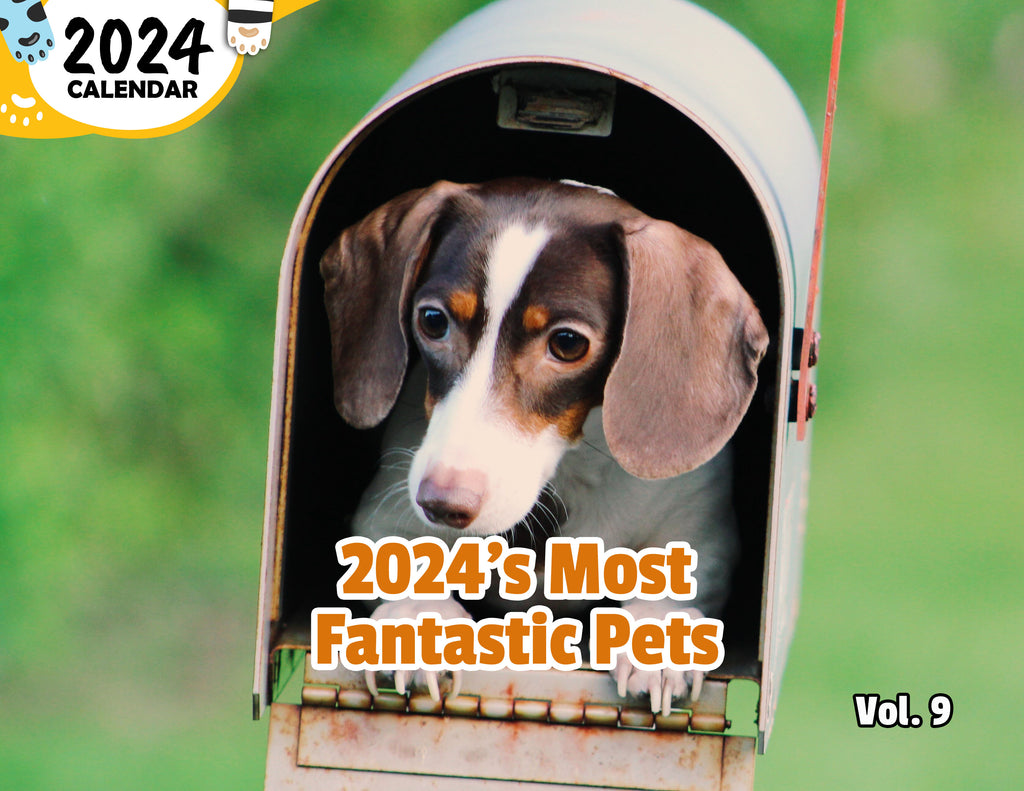 2024's Most Fantastic Pets Volume Nine: 2024 Wall Calendar (Published)