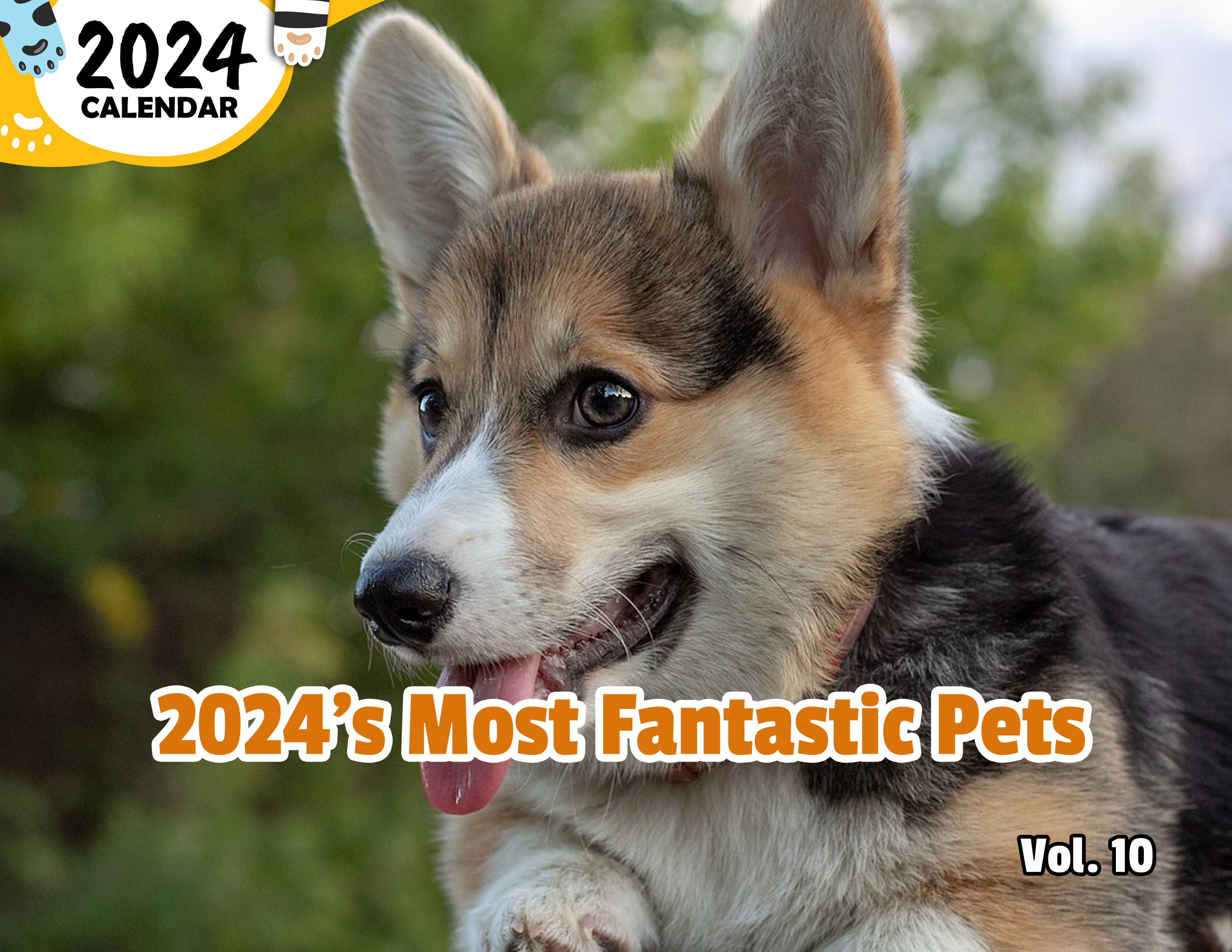 2024's Most Fantastic Pets Volume Ten: 2024 Wall Calendar (Published)