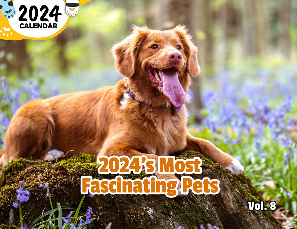 2024's Most Fascinating Pets Volume Eight: 2024 Wall Calendar (Published)