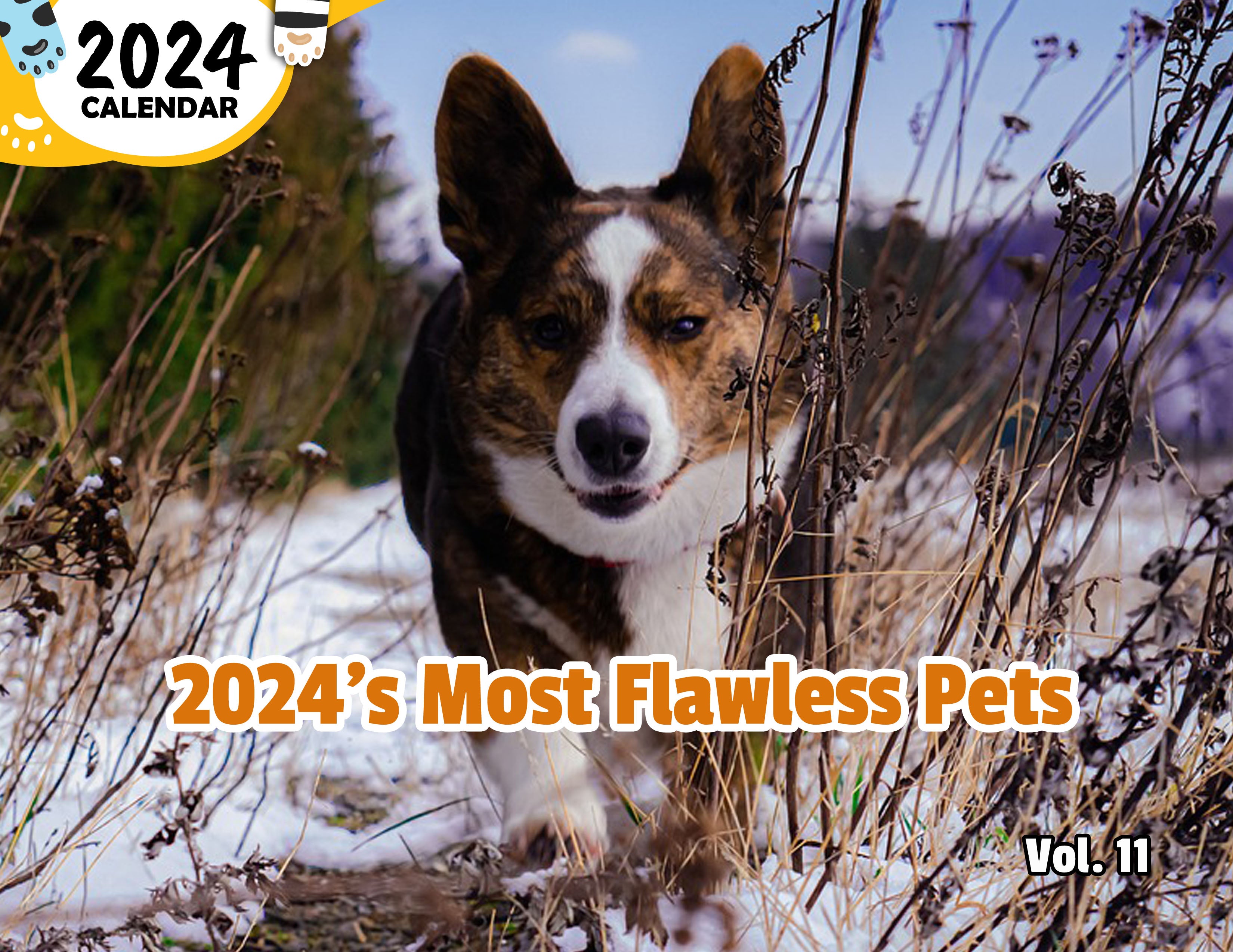2024's Most Flawless Pets Volume Eleven: 2024 Wall Calendar (Published)