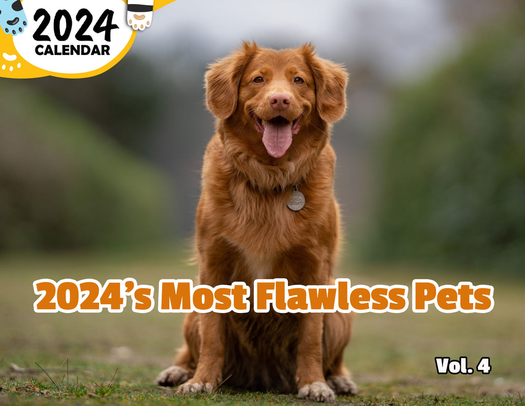 2024's Most Flawless Pets Volume Four: 2024 Wall Calendar (Published)