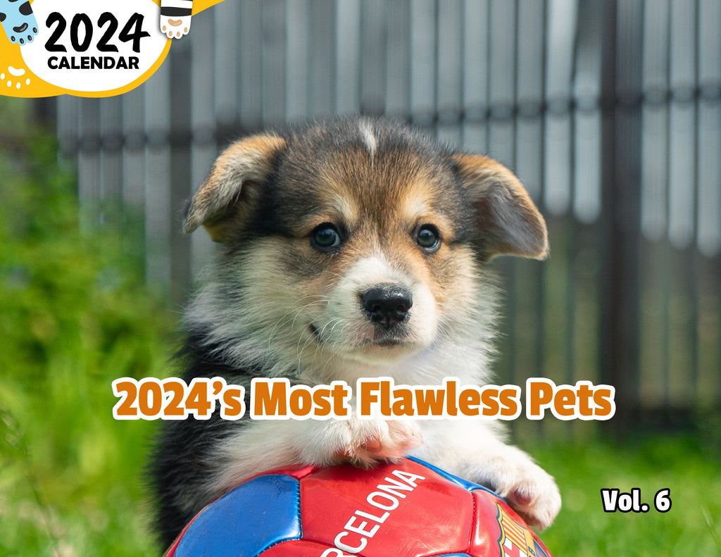 2024's Most Flawless Pets Volume Six: 2024 Wall Calendar (Published)