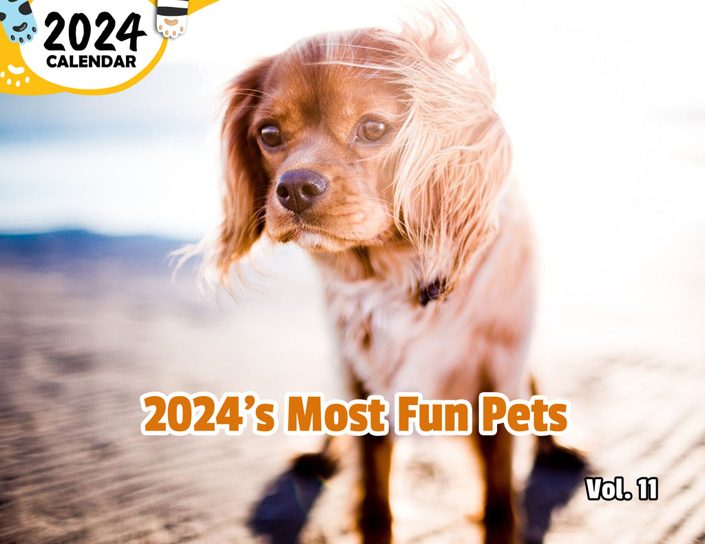 2024's Most Fun Pets Volume Eleven: 2024 Wall Calendar (Published)
