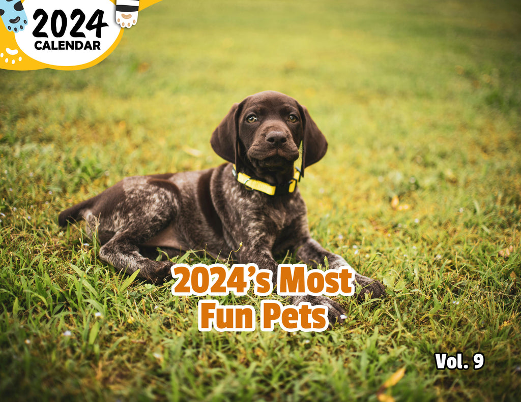 2024's Most Fun Pets Volume Nine: 2024 Wall Calendar (Published)