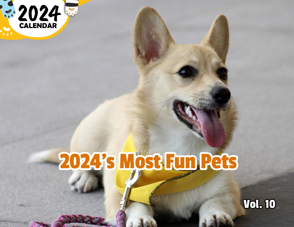 2024's Most Fun Pets Volume Ten: 2024 Wall Calendar (Published)