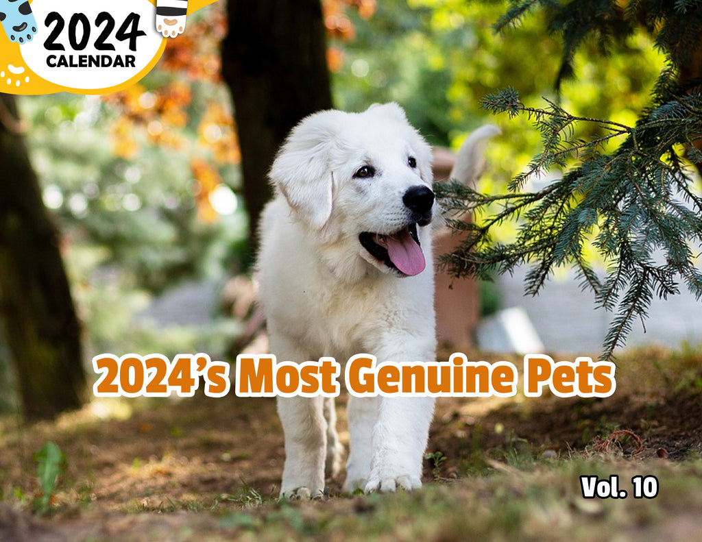 2024's Most Genuine Pets Volume Ten: 2024 Wall Calendar (Published)