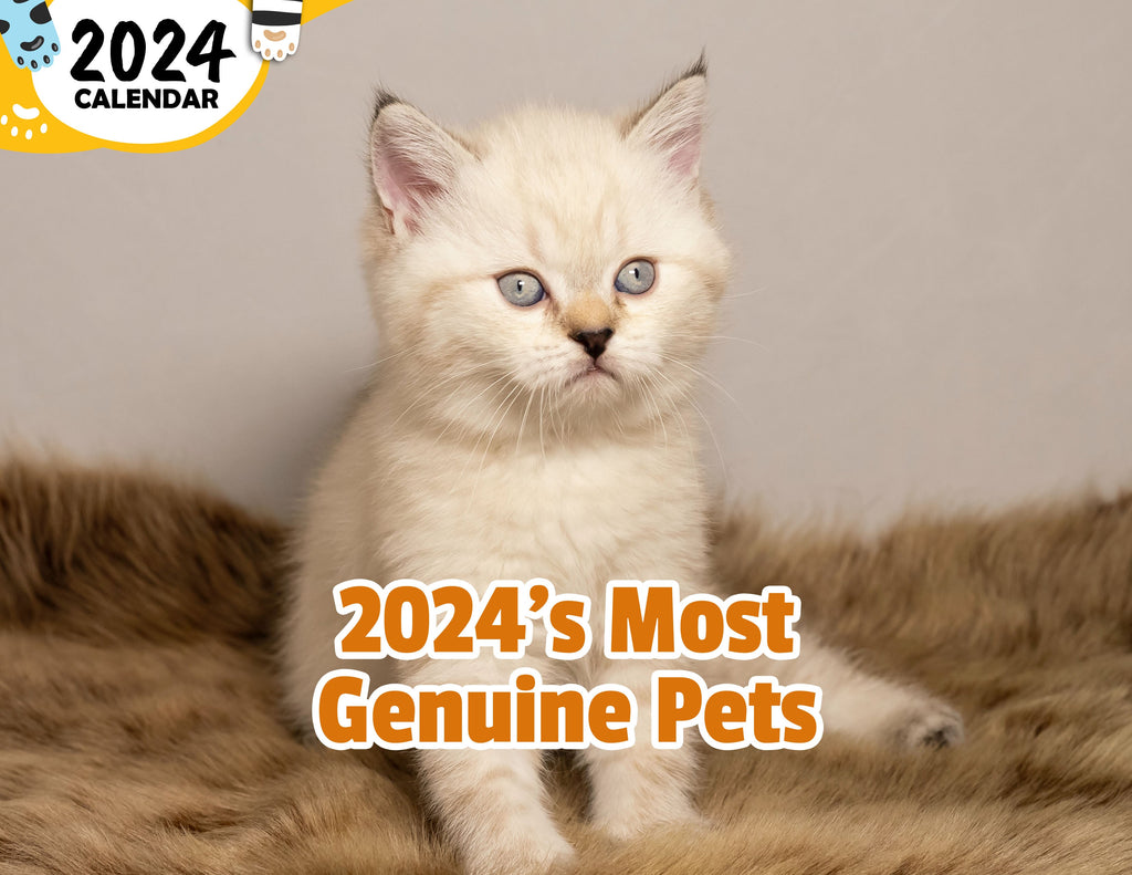 2024's Most Genuine Pets: 2024 Wall Calendar (Published)