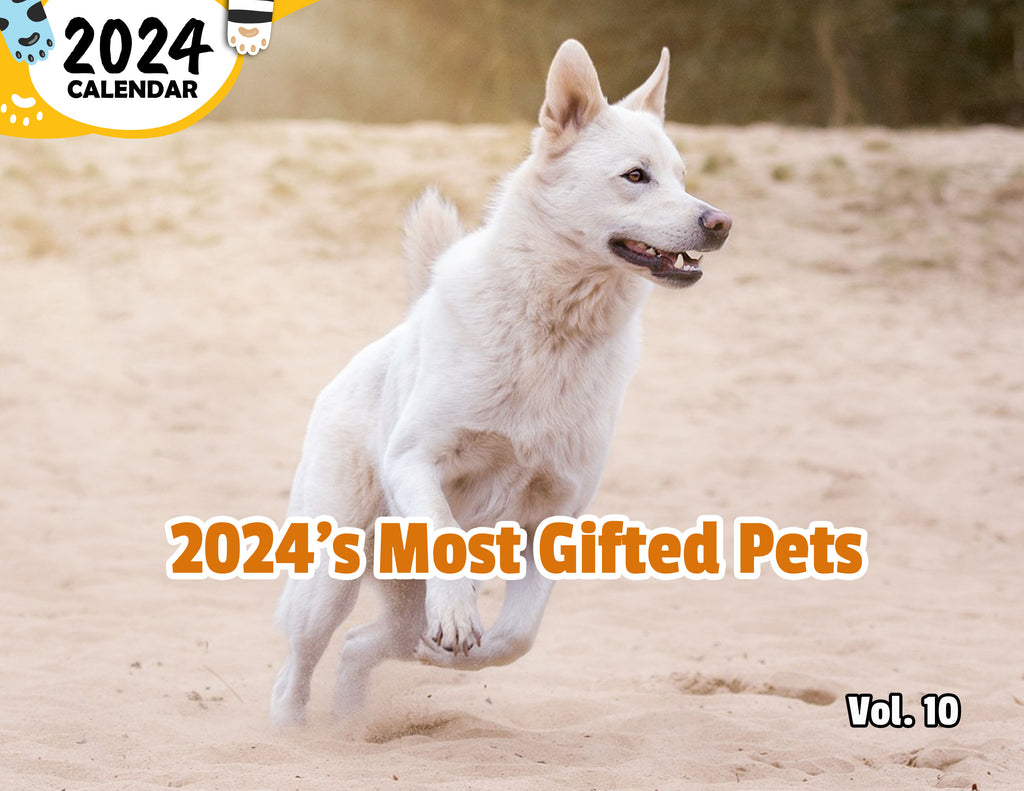 2024's Most Gifted Pets Volume Ten: 2024 Wall Calendar (Published)