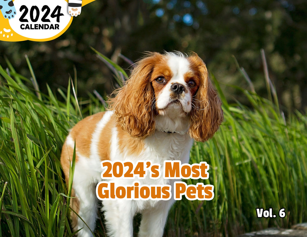 2024's Most Glorious Pets Volume Six: 2024 Wall Calendar (Published)
