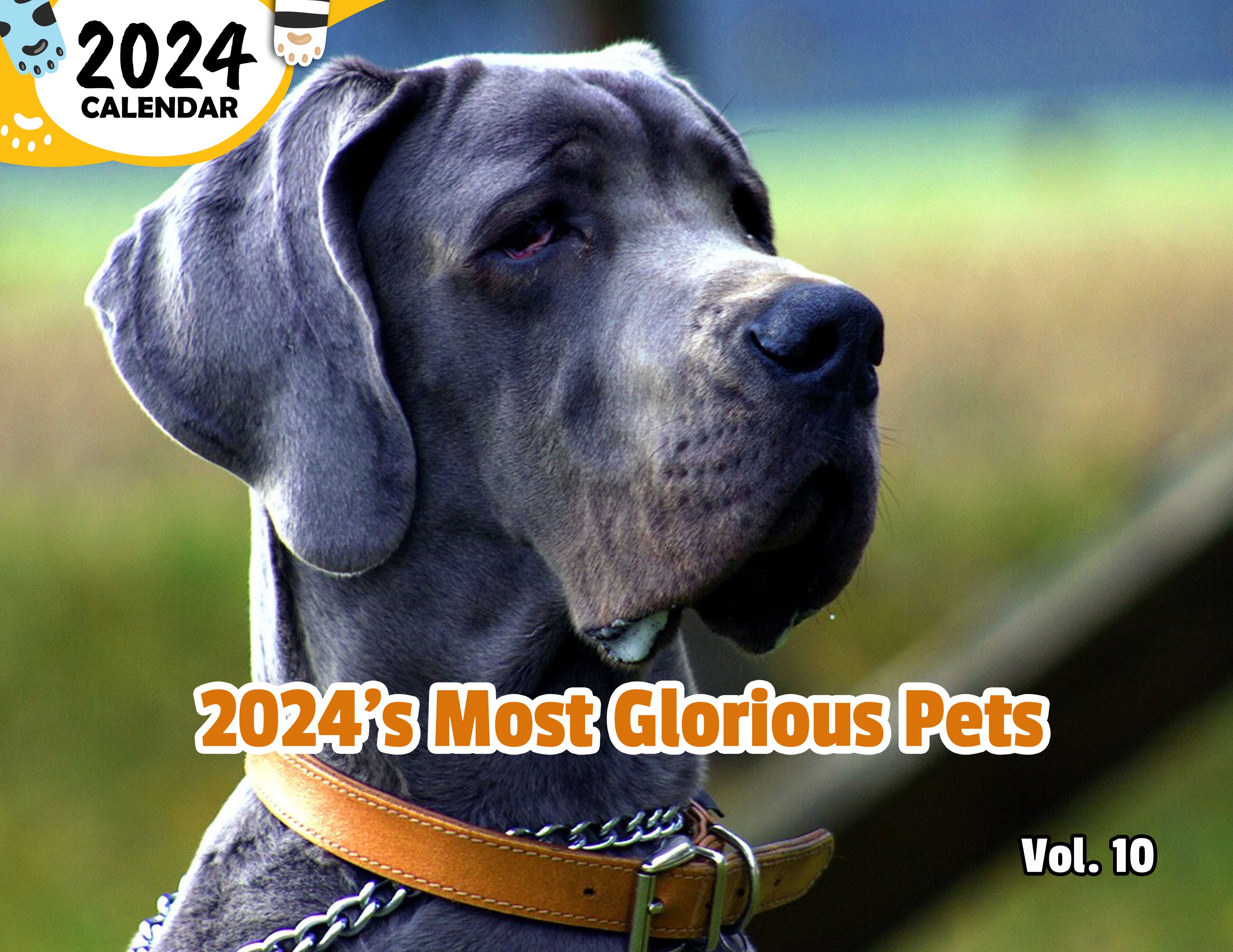 2024's Most Glorious Pets Volume Ten: 2024 Wall Calendar (Published)