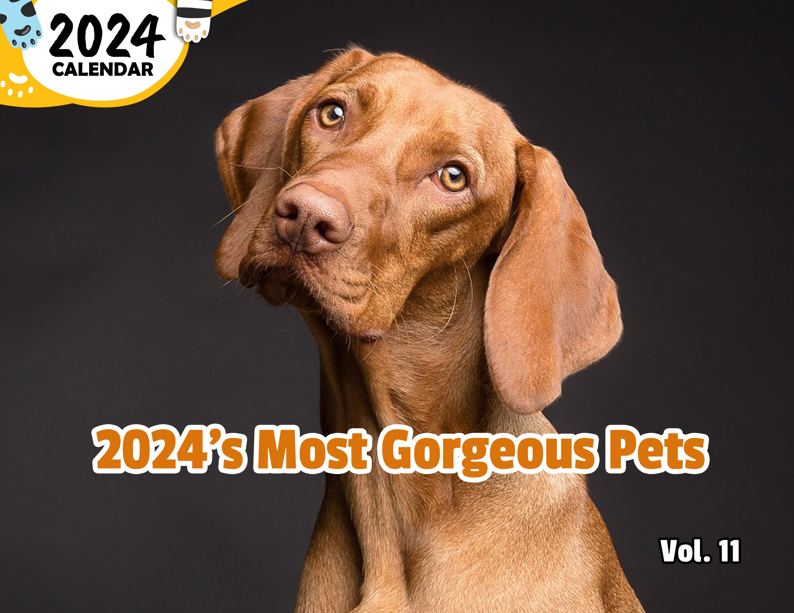 2024's Most Gorgeous Pets Volume Eleven: 2024 Wall Calendar (Published)