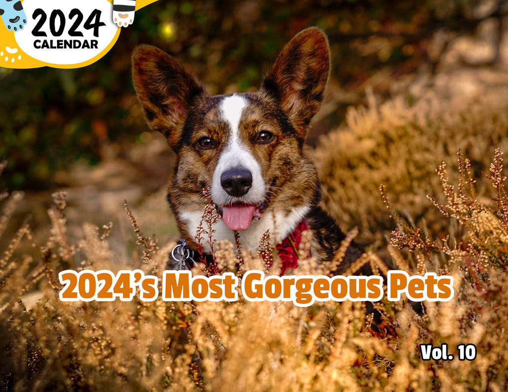 2024's Most Gorgeous Pets Volume Ten: 2024 Wall Calendar (Published)