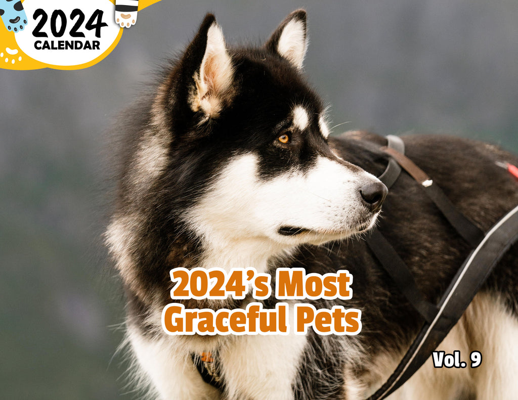 2024's Most Graceful Pets Volume Nine: 2024 Wall Calendar (Published)