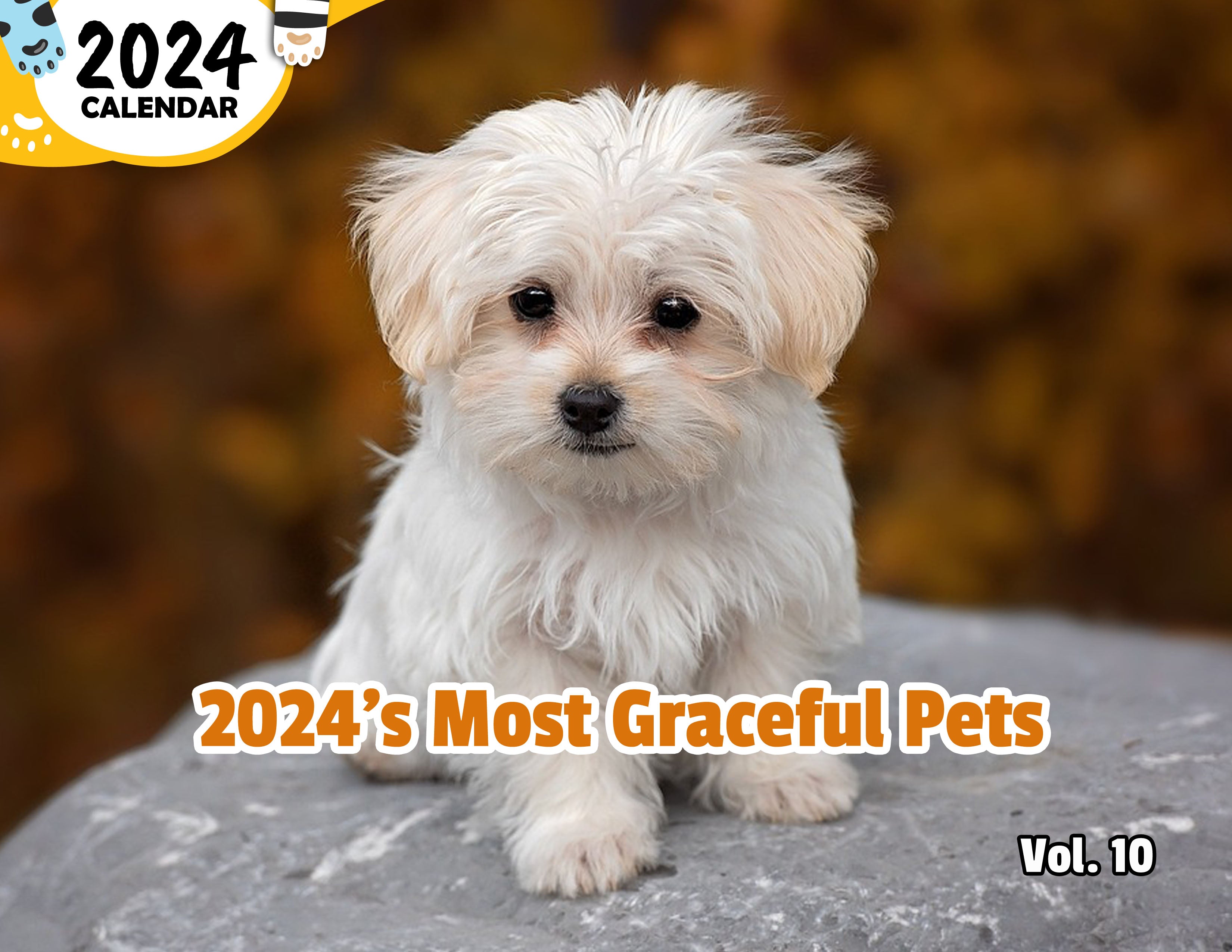 2024's Most Graceful Pets Volume Ten: 2024 Wall Calendar (Published)