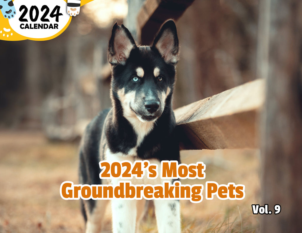 2024's Most Groundbreaking Pets Volume Nine: 2024 Wall Calendar (Published)
