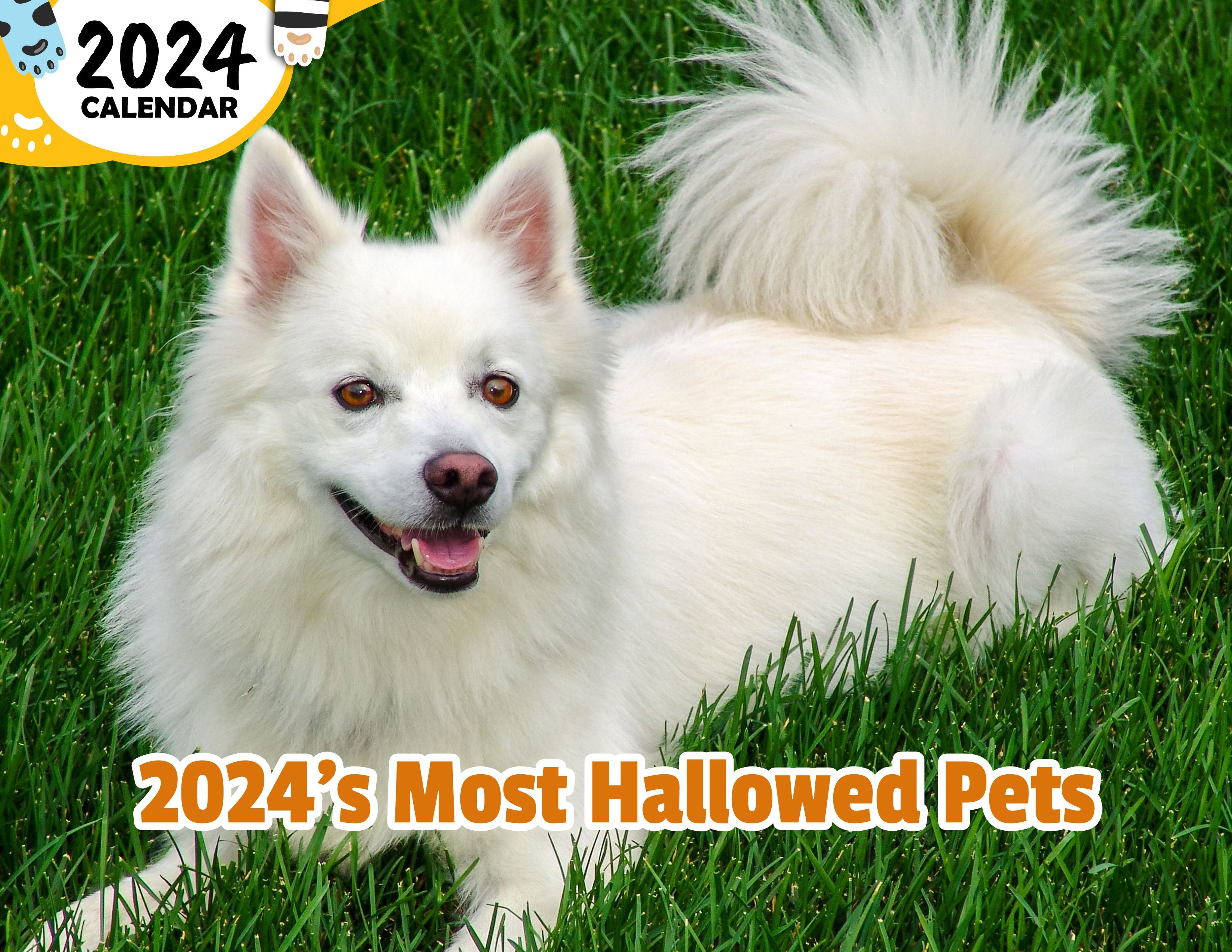 2024's Most Hallowed Pets: 2024 Wall Calendar (Published)