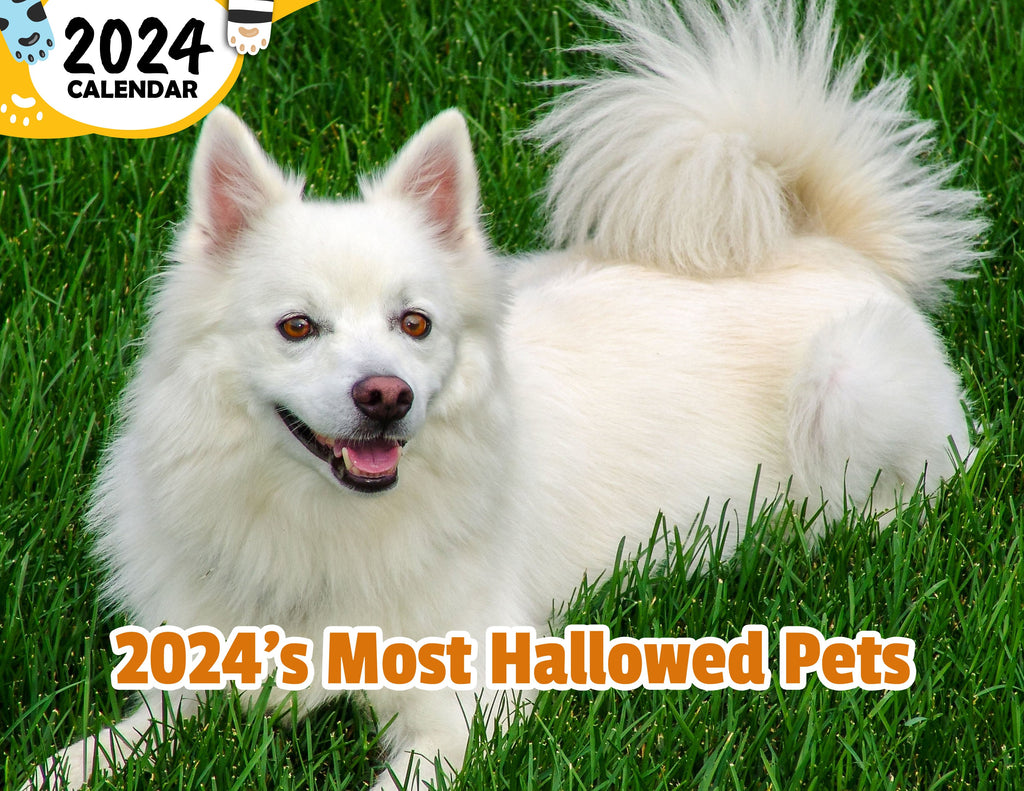 2024's Most Hallowed Pets: 2024 Wall Calendar (Published)