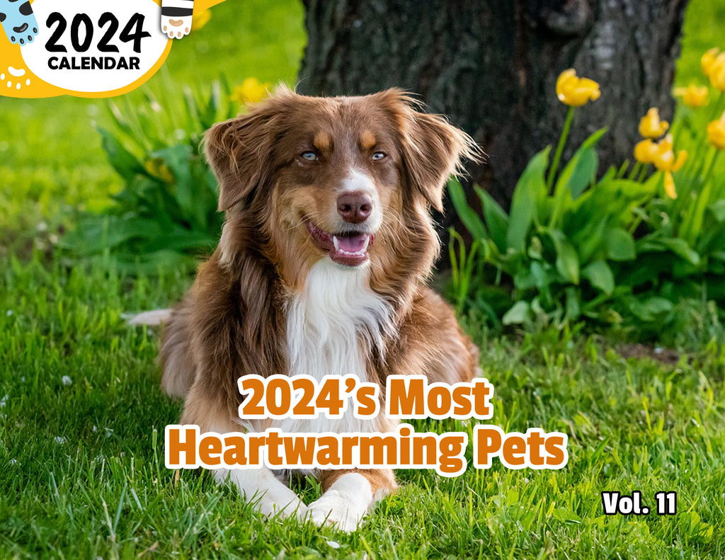 2024's Most Heartwarming Pets Volume Eleven: 2024 Wall Calendar (Published)