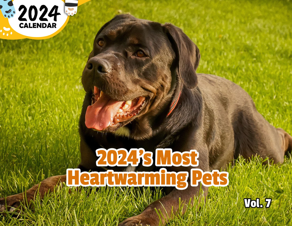 2024's Most Heartwarming Pets Volume Seven: 2024 Wall Calendar (Published)