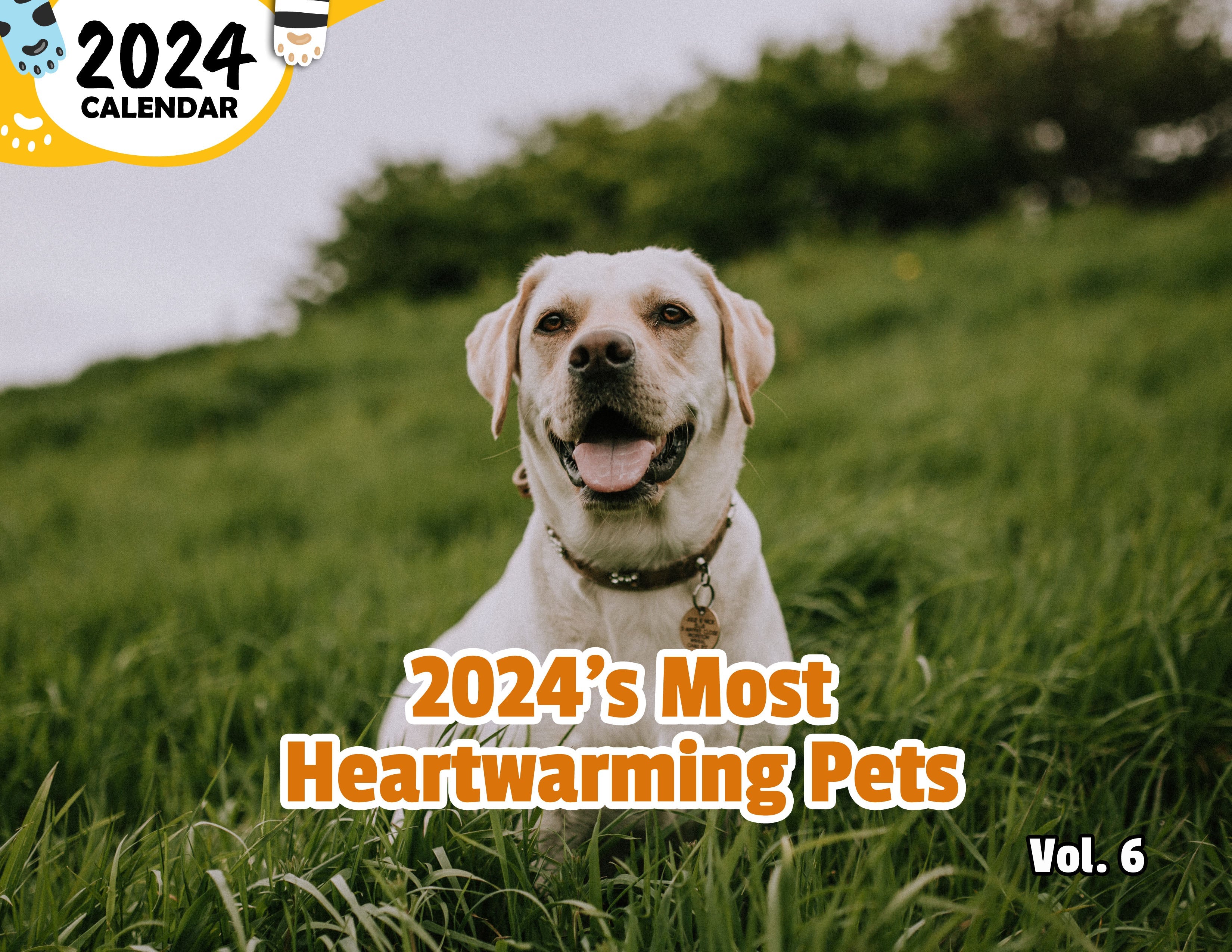 2024's Most Heartwarming Pets Volume Six: 2024 Wall Calendar (Published)