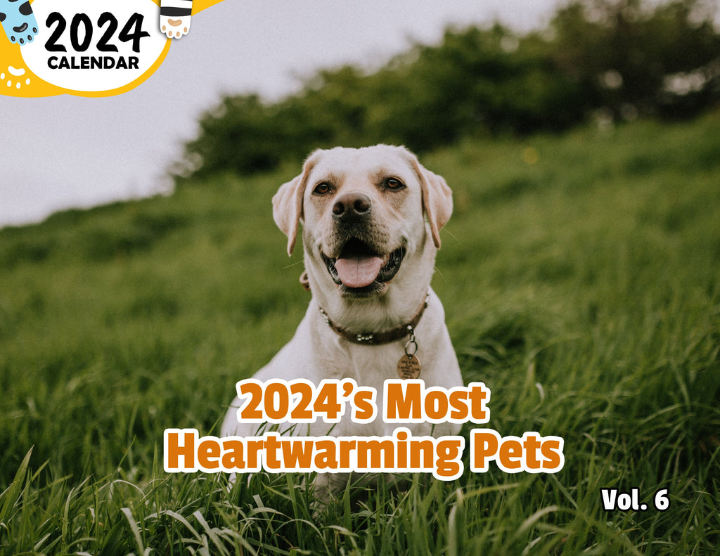 2024's Most Heartwarming Pets Volume Six: 2024 Wall Calendar (Published)