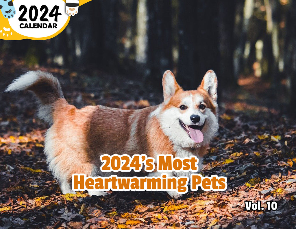 2024's Most Heartwarming Pets Volume Ten: 2024 Wall Calendar (Published)