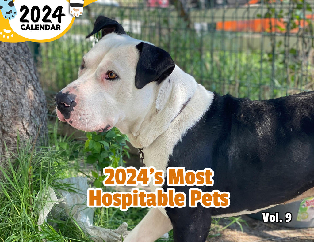 2024's Most Hospitable Pets Volume Nine: 2024 Wall Calendar (Published)