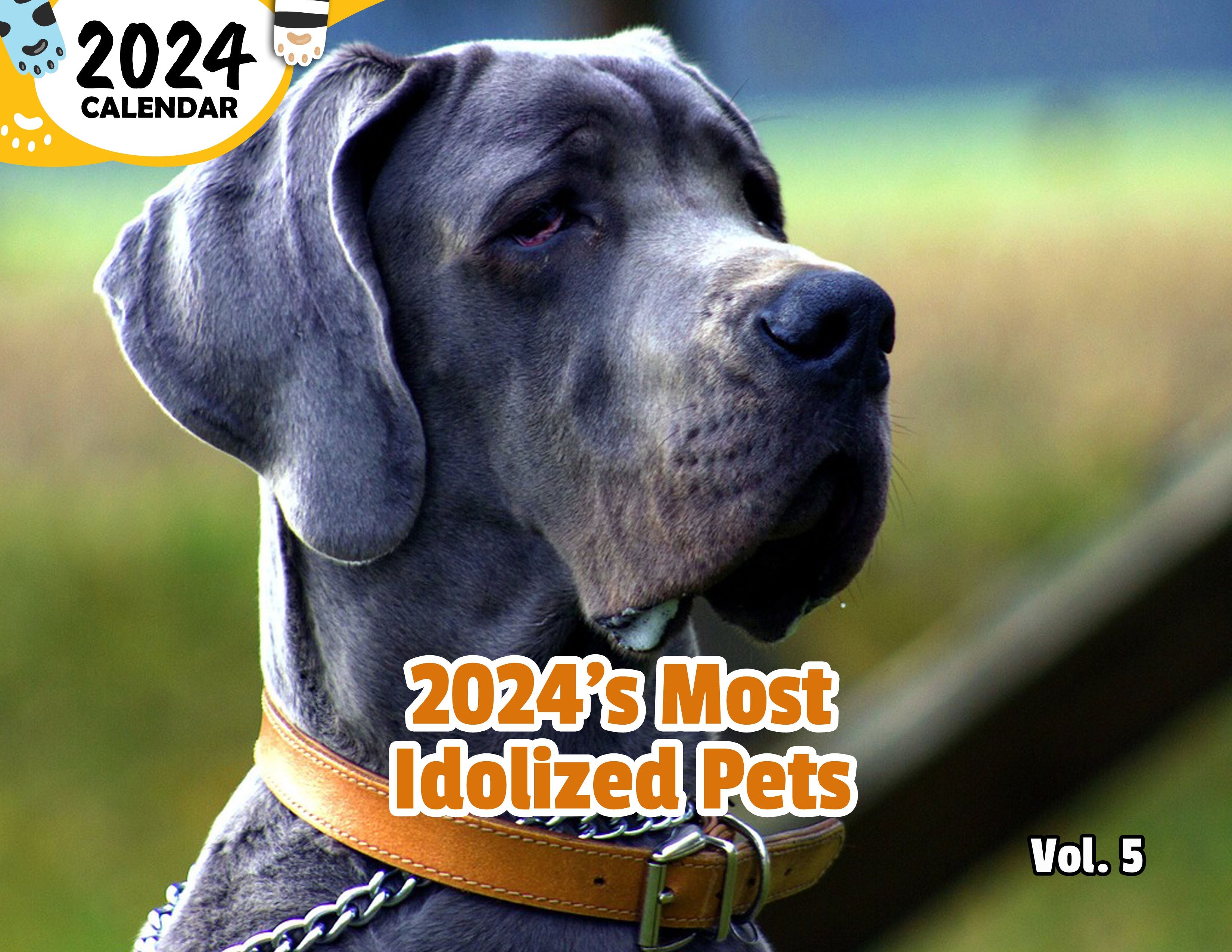 2024's Most Idolized Pets Volume Five: 2024 Wall Calendar (Published)