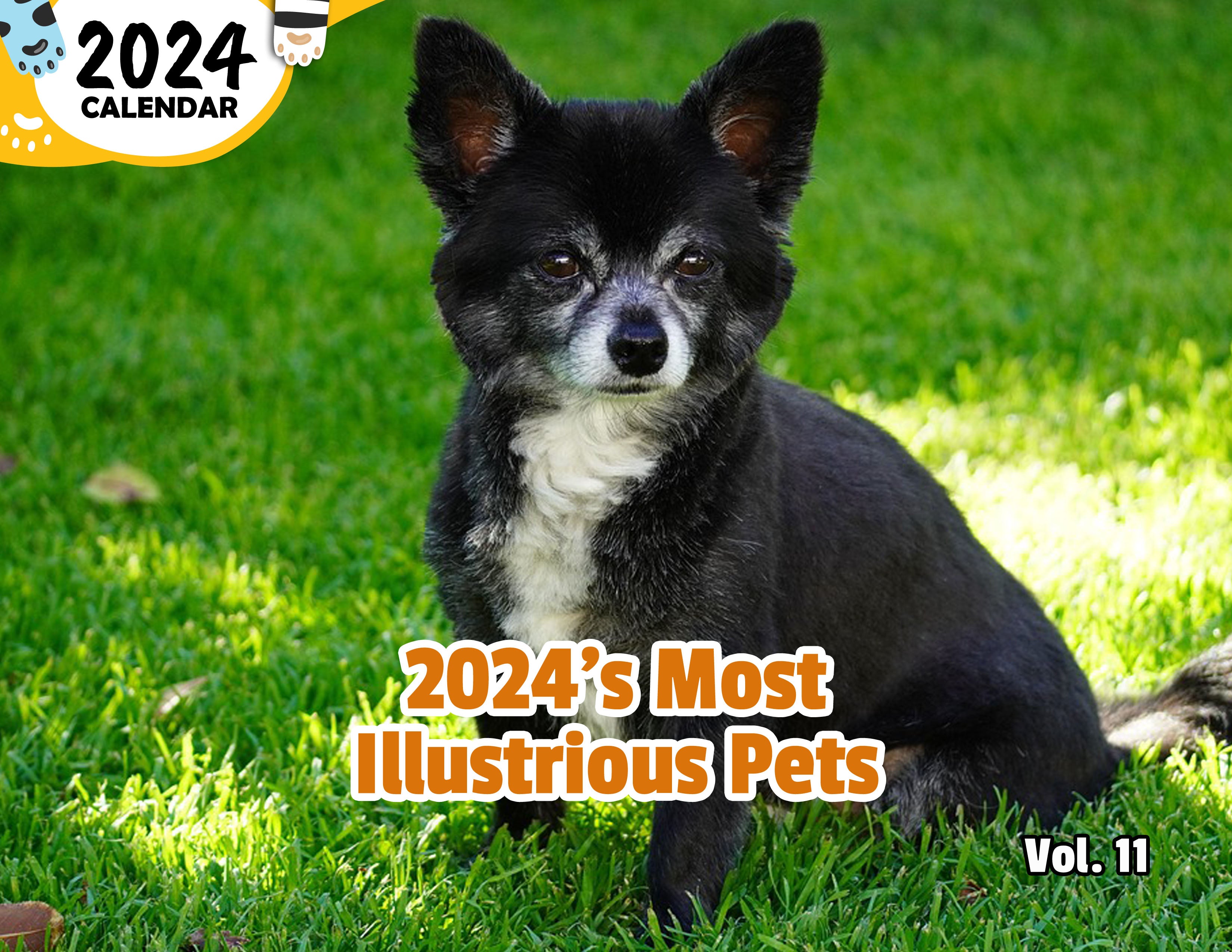 2024's Most Illustrious Pets Volume Eleven: 2024 Wall Calendar (Published)