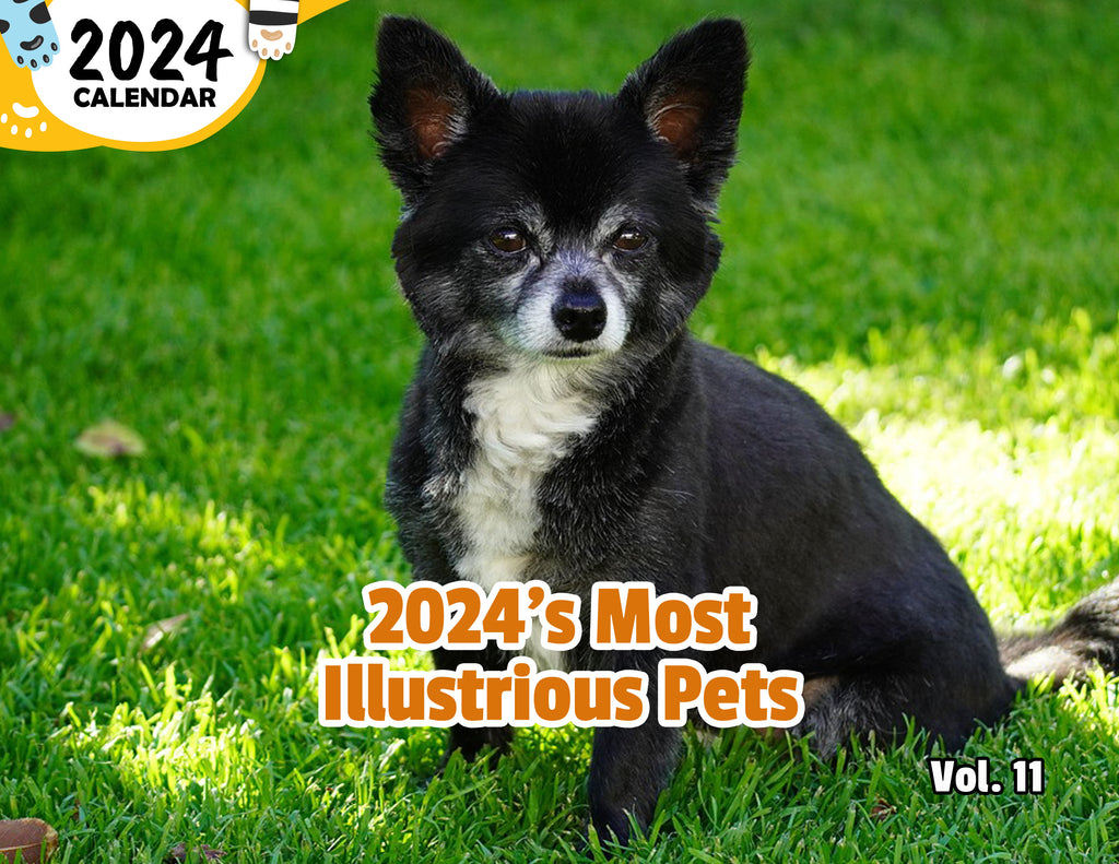 2024's Most Illustrious Pets Volume Eleven: 2024 Wall Calendar (Published)