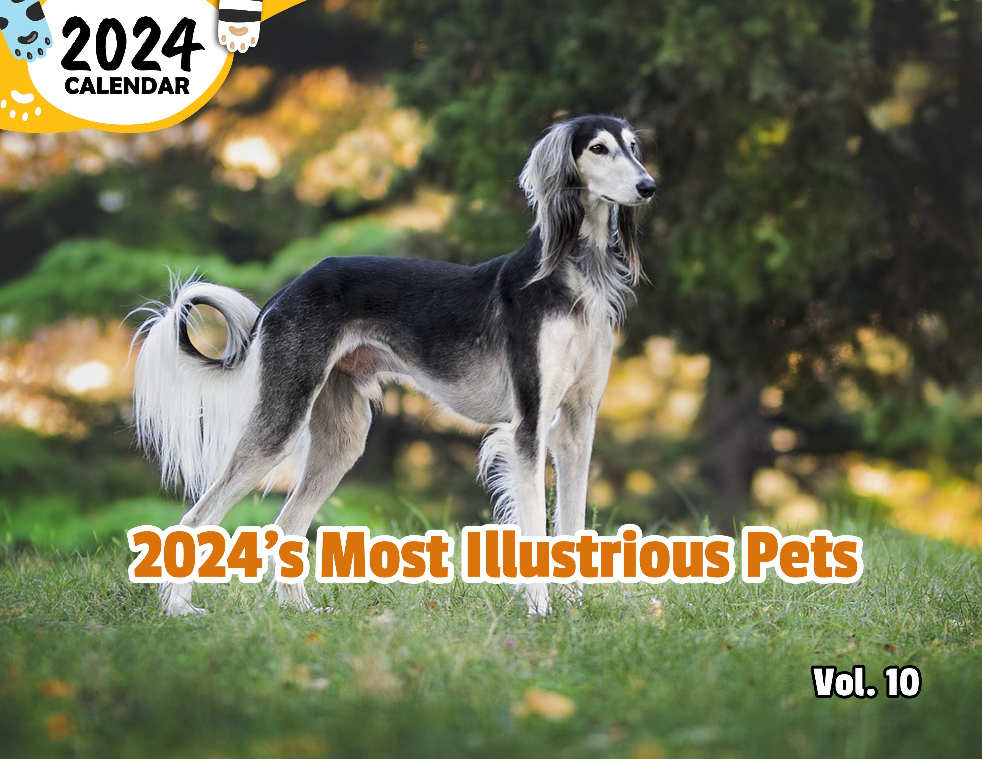 2024's Most Illustrious Pets Volume Ten: 2024 Wall Calendar (Published)