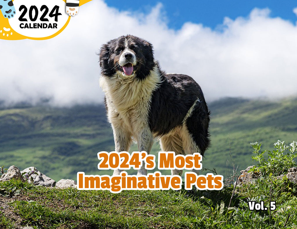 2024's Most Imaginative Pets Volume Five: 2024 Wall Calendar (Published)