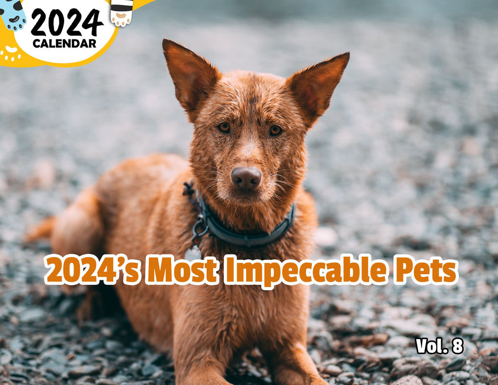 2024's Most Impeccable Pets Volume Eight: 2024 Wall Calendar (Published)