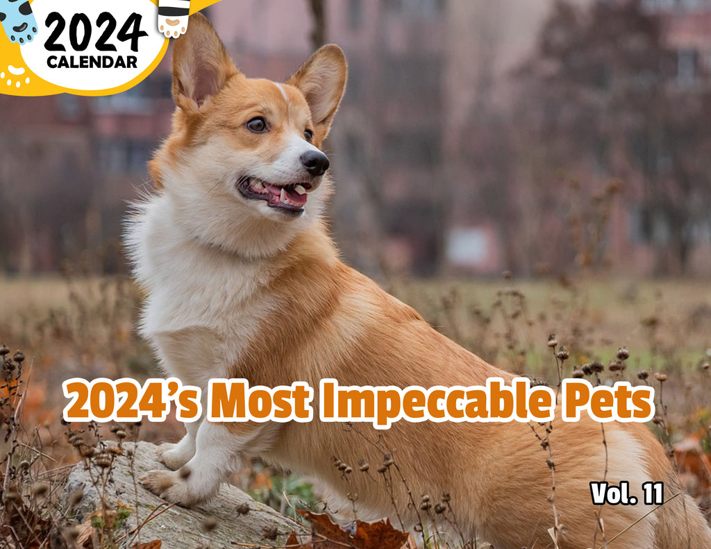 2024's Most Impeccable Pets Volume Eleven: 2024 Wall Calendar (Published)