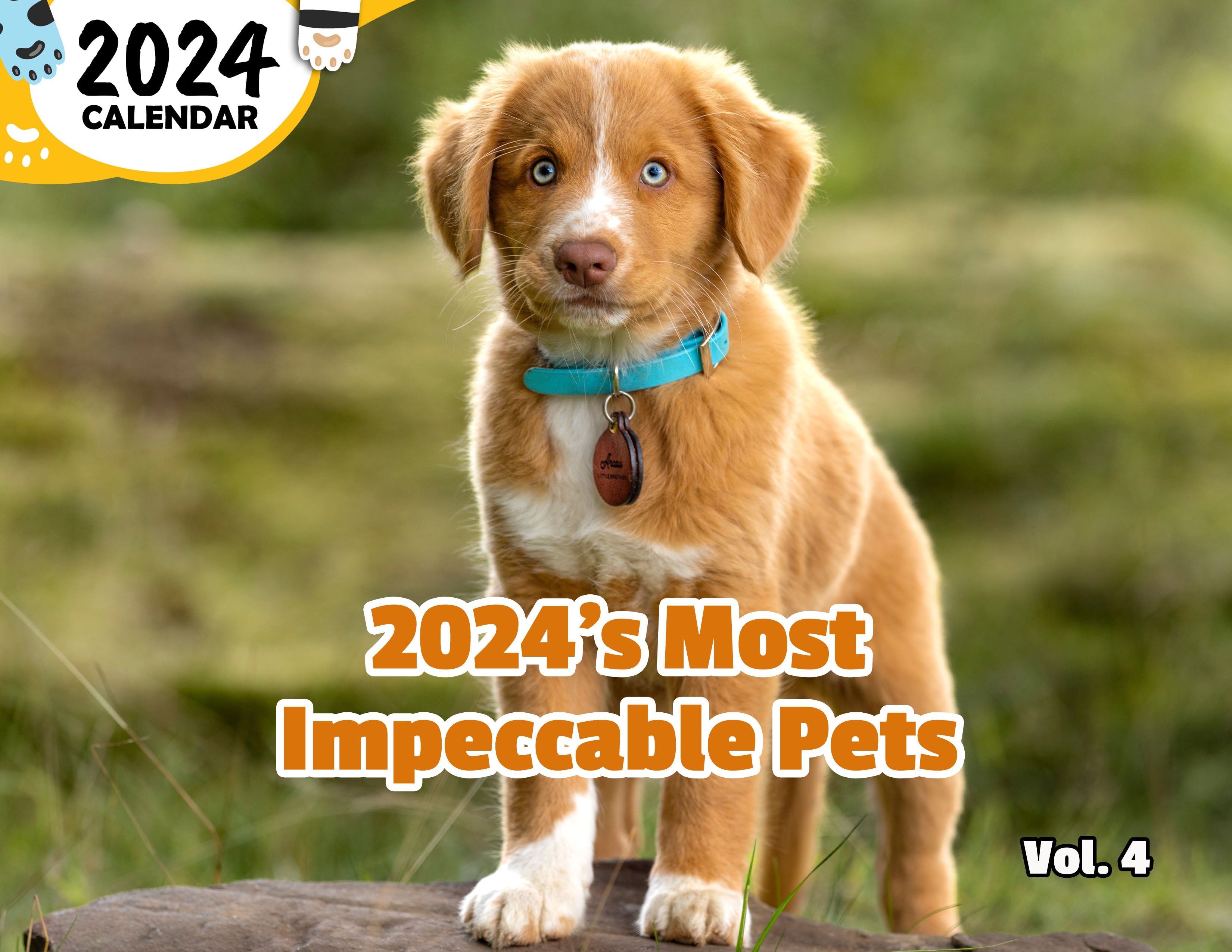 2024's Most Impeccable Pets Volume Four: 2024 Wall Calendar (Published)