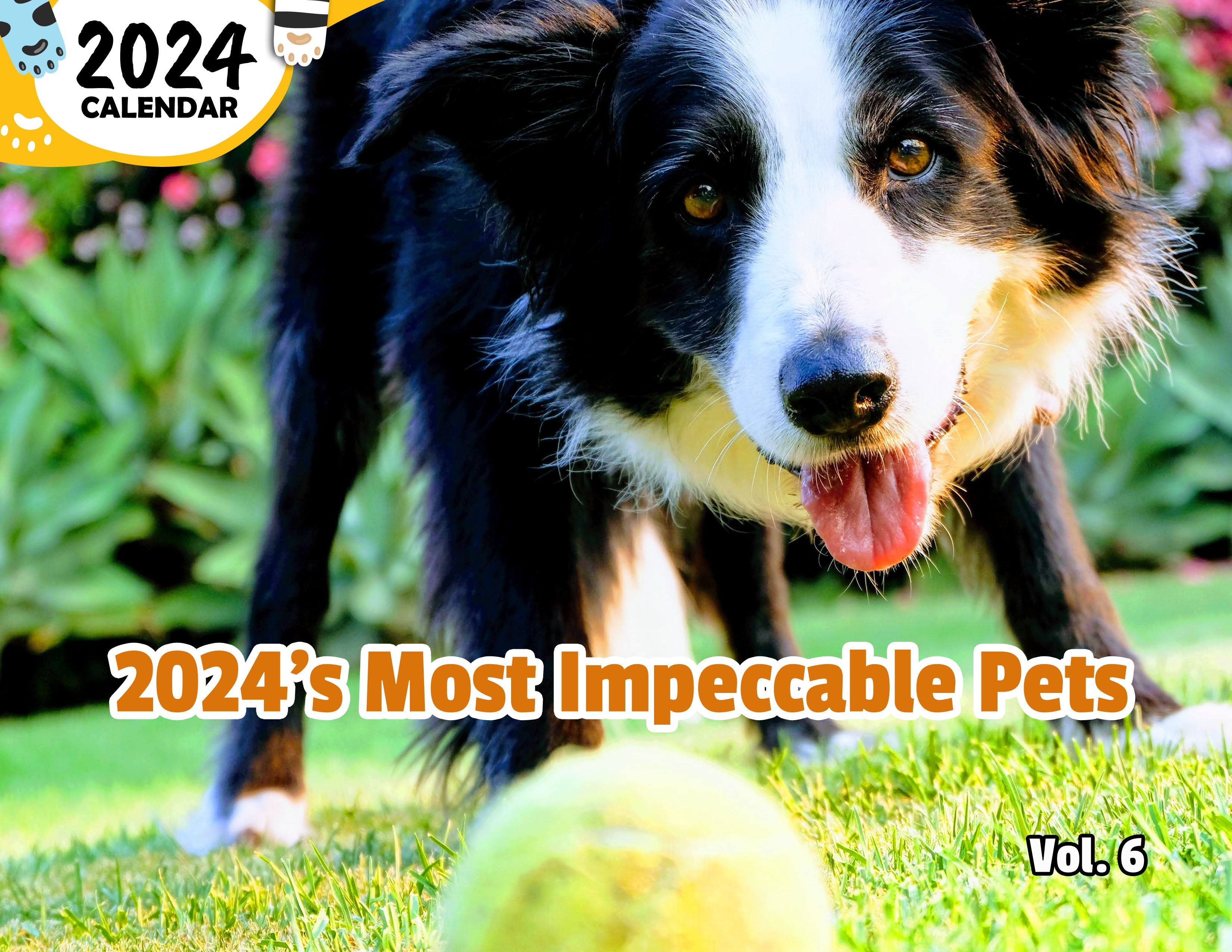 2024's Most Impeccable Pets Volume Six: 2024 Wall Calendar (Published)
