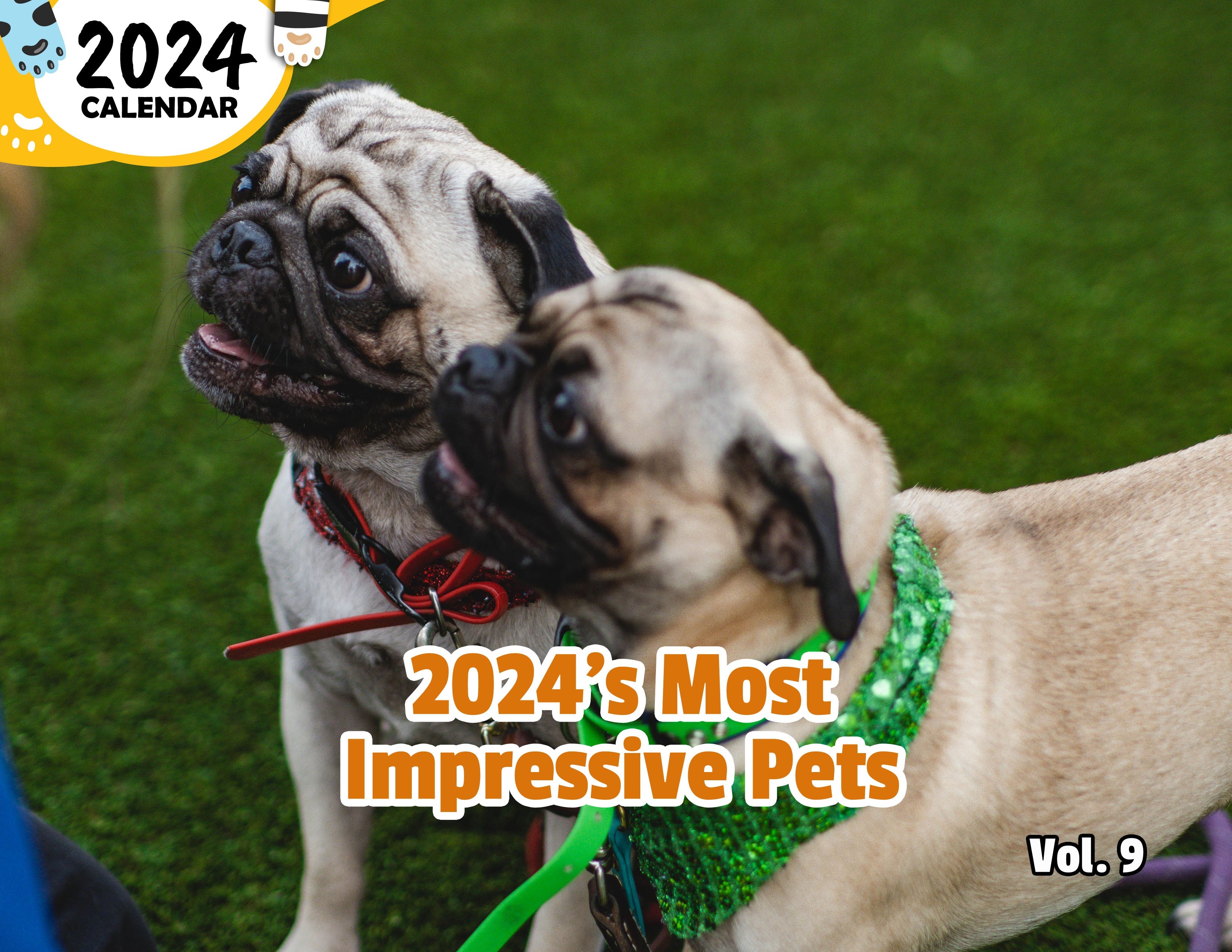 2024's Most Impressive Pets Volume Nine: 2024 Wall Calendar (Published)