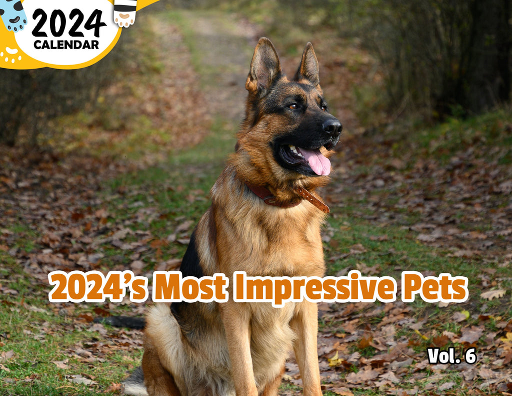 2024's Most Impressive Pets Volume Six: 2024 Wall Calendar (Published)