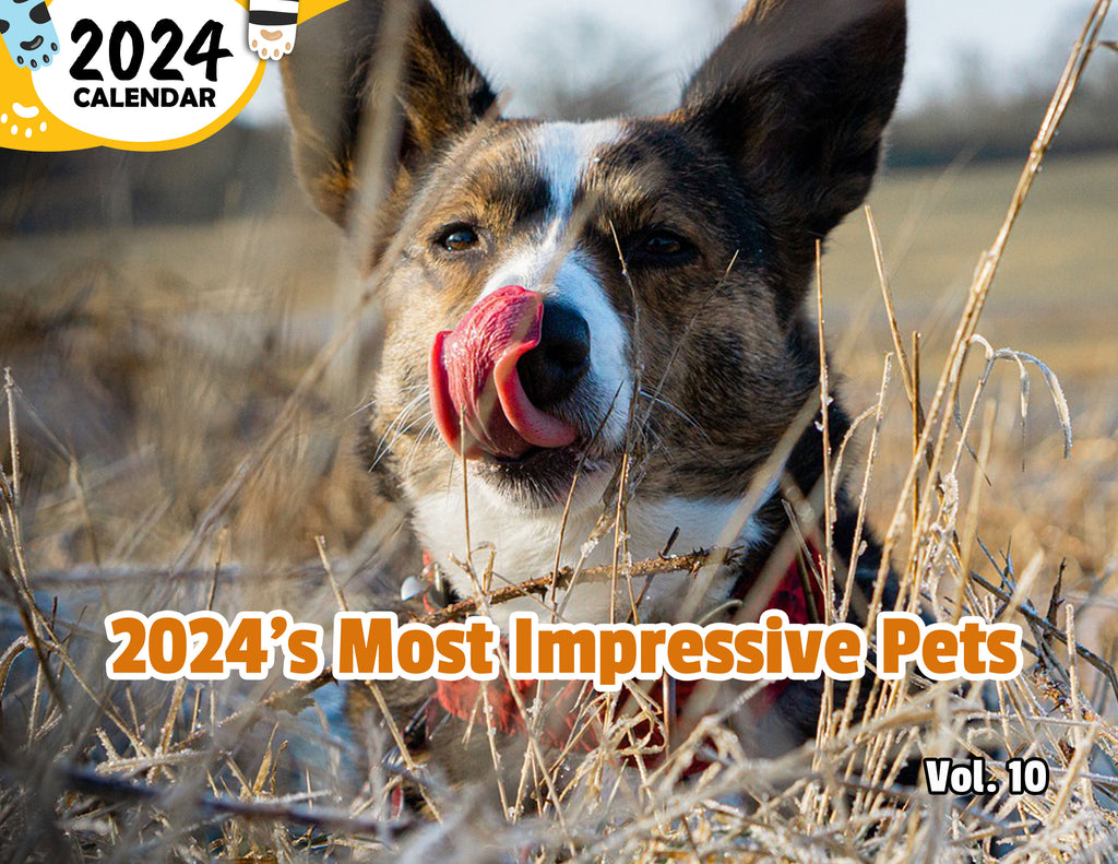 2024's Most Impressive Pets Volume Ten: 2024 Wall Calendar (Published)