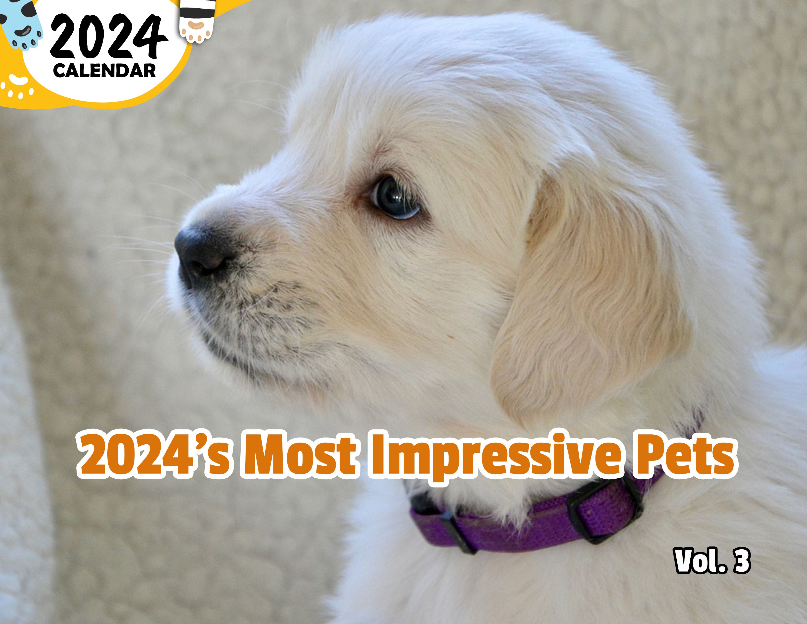 2024's Most Impressive Pets Volume Three: 2024 Wall Calendar (Published)