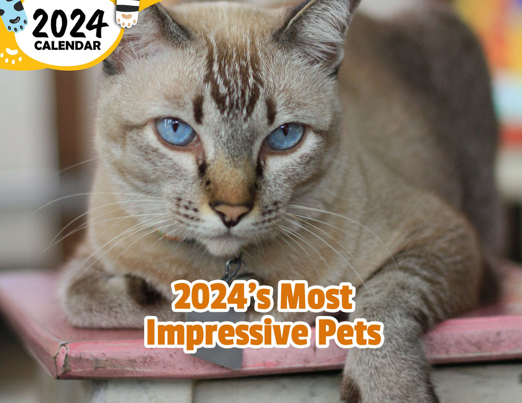 2024's Most Impressive Pets: 2024 Wall Calendar (Published)