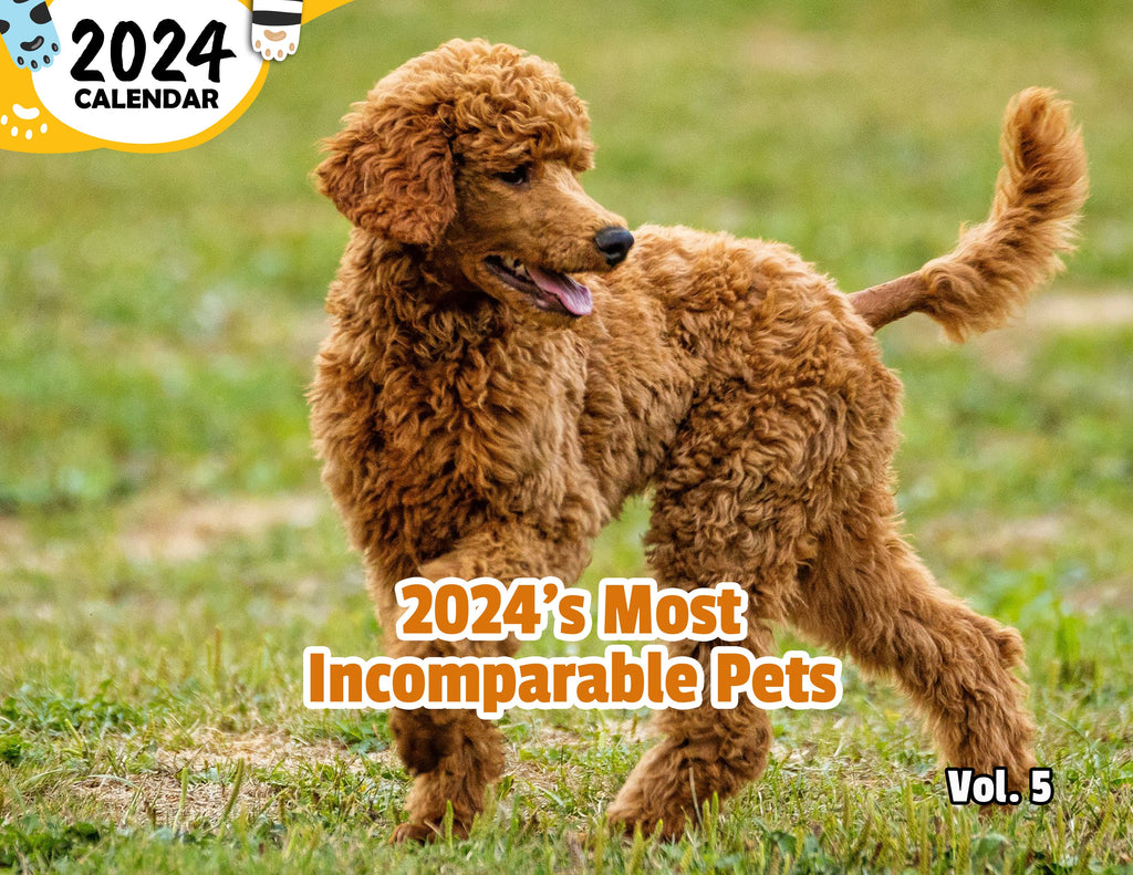 2024's Most Incomparable Pets Volume Five: 2024 Wall Calendar (Published)