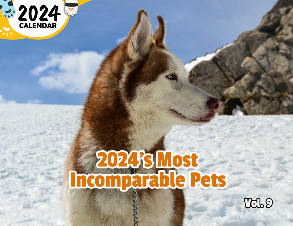 2024's Most Incomparable Pets Volume Nine: 2024 Wall Calendar (Published)