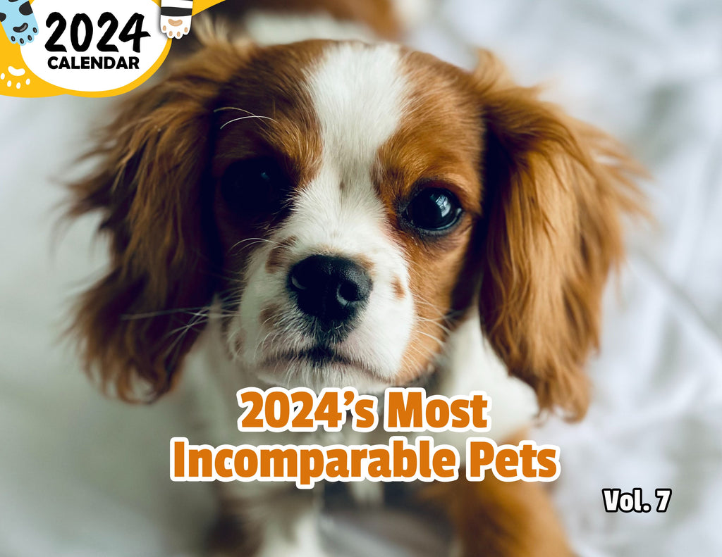 2024's Most Incomparable Pets Volume Seven: 2024 Wall Calendar (Published)