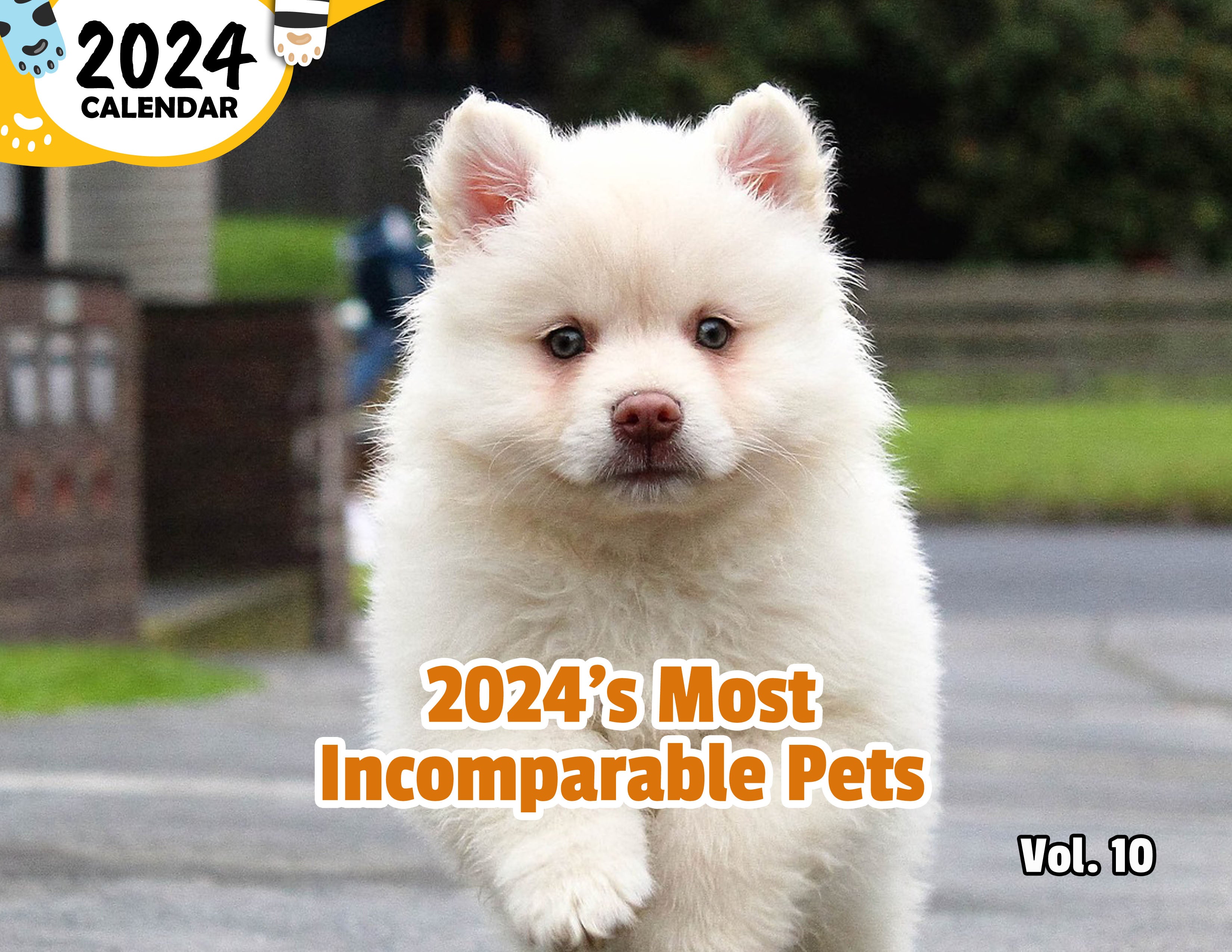 2024's Most Incomparable Pets Volume Ten: 2024 Wall Calendar (Published)