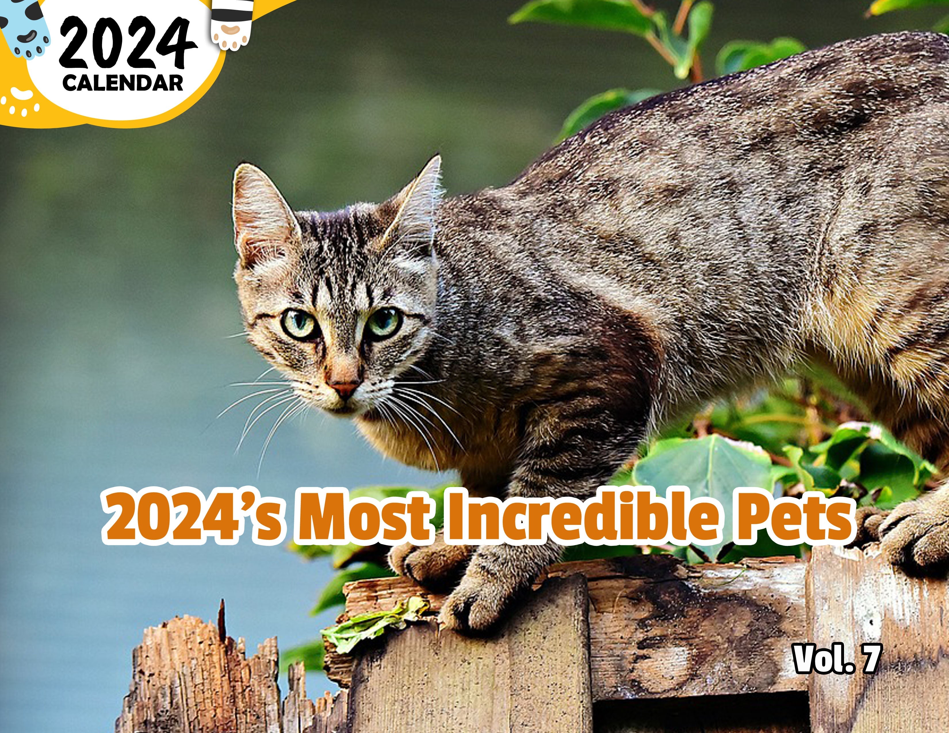 2024's Most Incredible Pets Volume Seven: 2024 Wall Calendar (Published)
