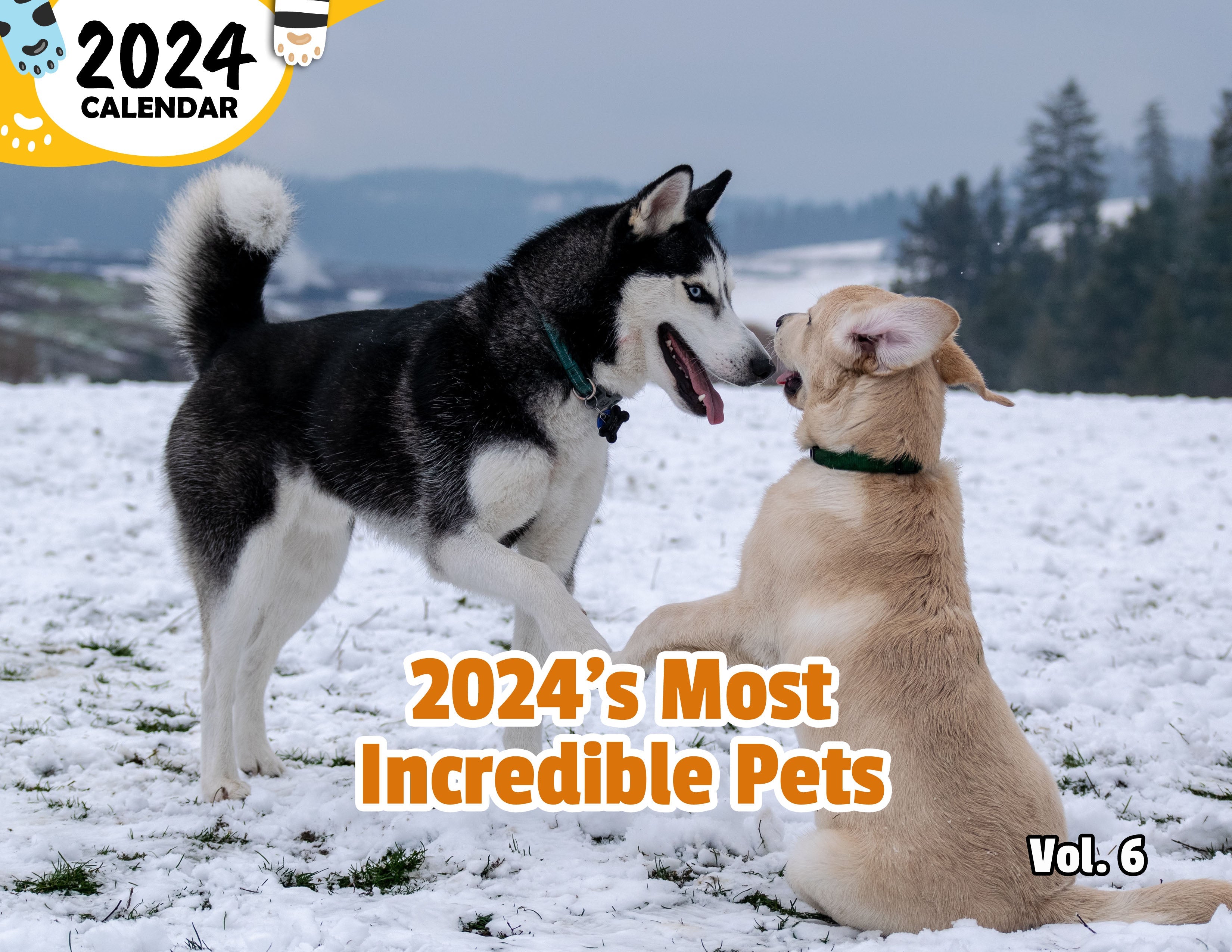 2024's Most Incredible Pets Volume Six: 2024 Wall Calendar (Published)