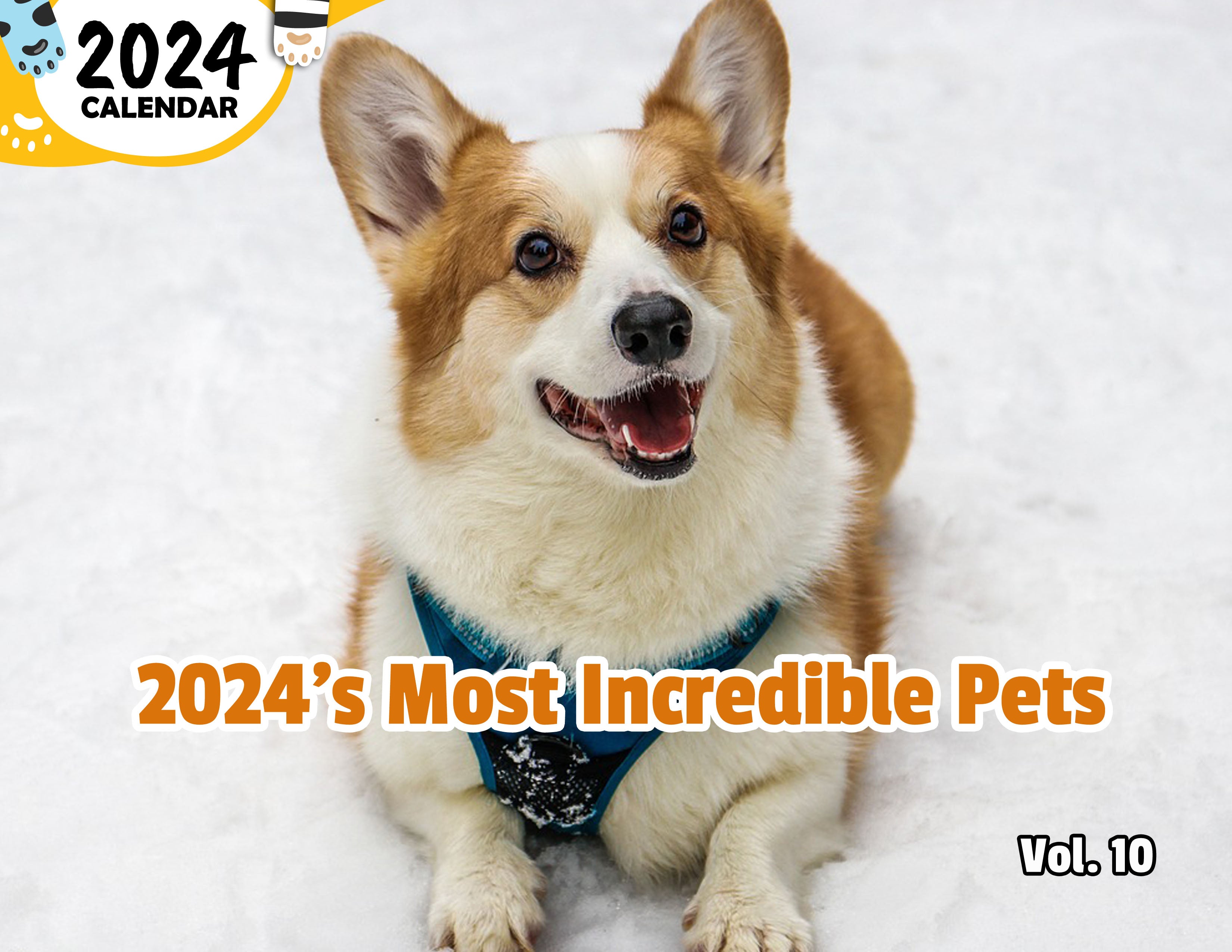 2024's Most Incredible Pets Volume Ten: 2024 Wall Calendar (Published)